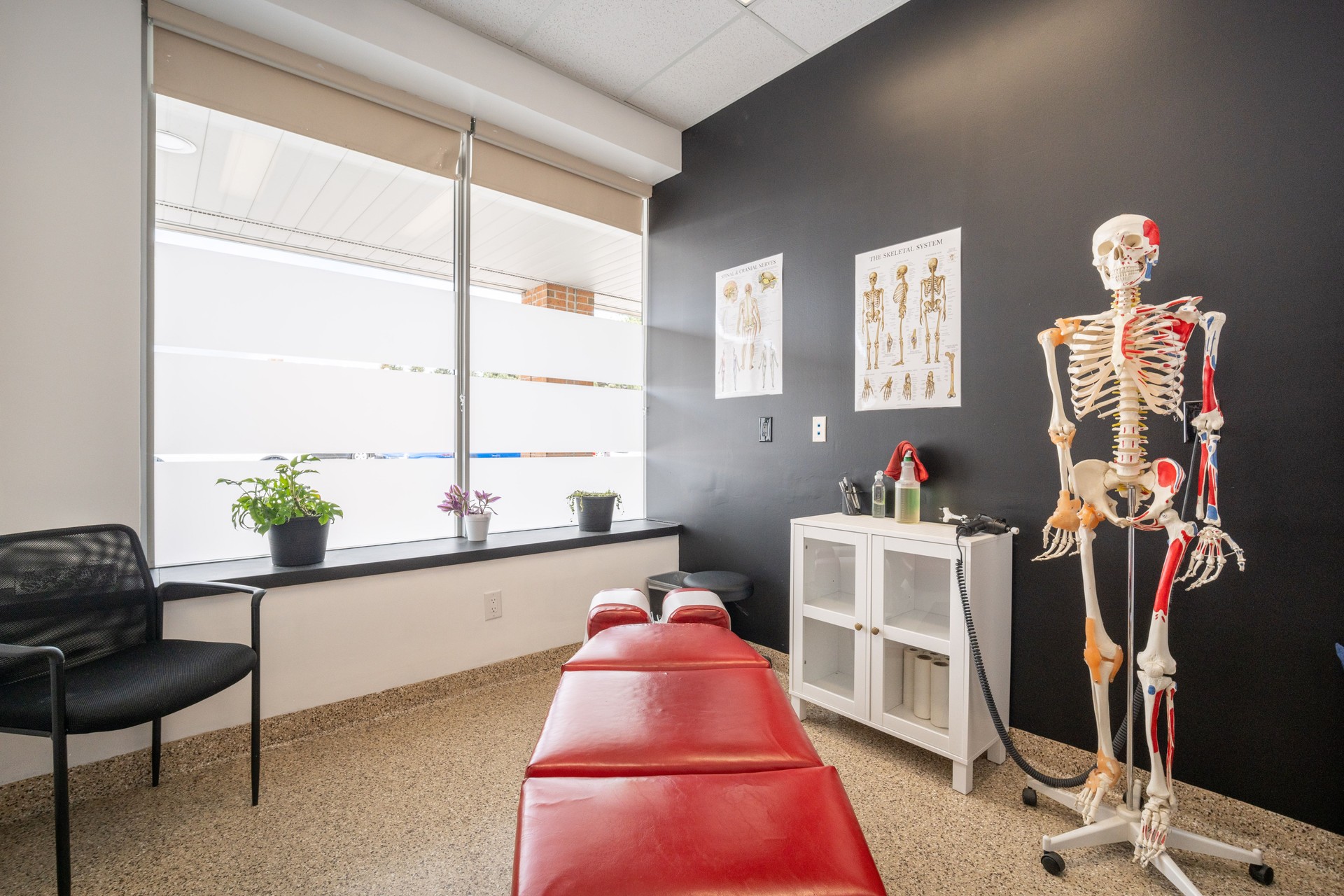 chiropractic office